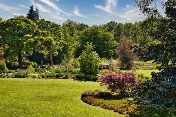 Maximizing Your Garden&rsquo;s Potential with Square Foot Gardening